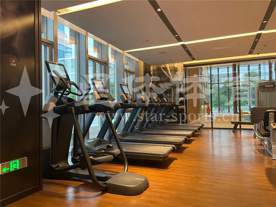 室内健身器材