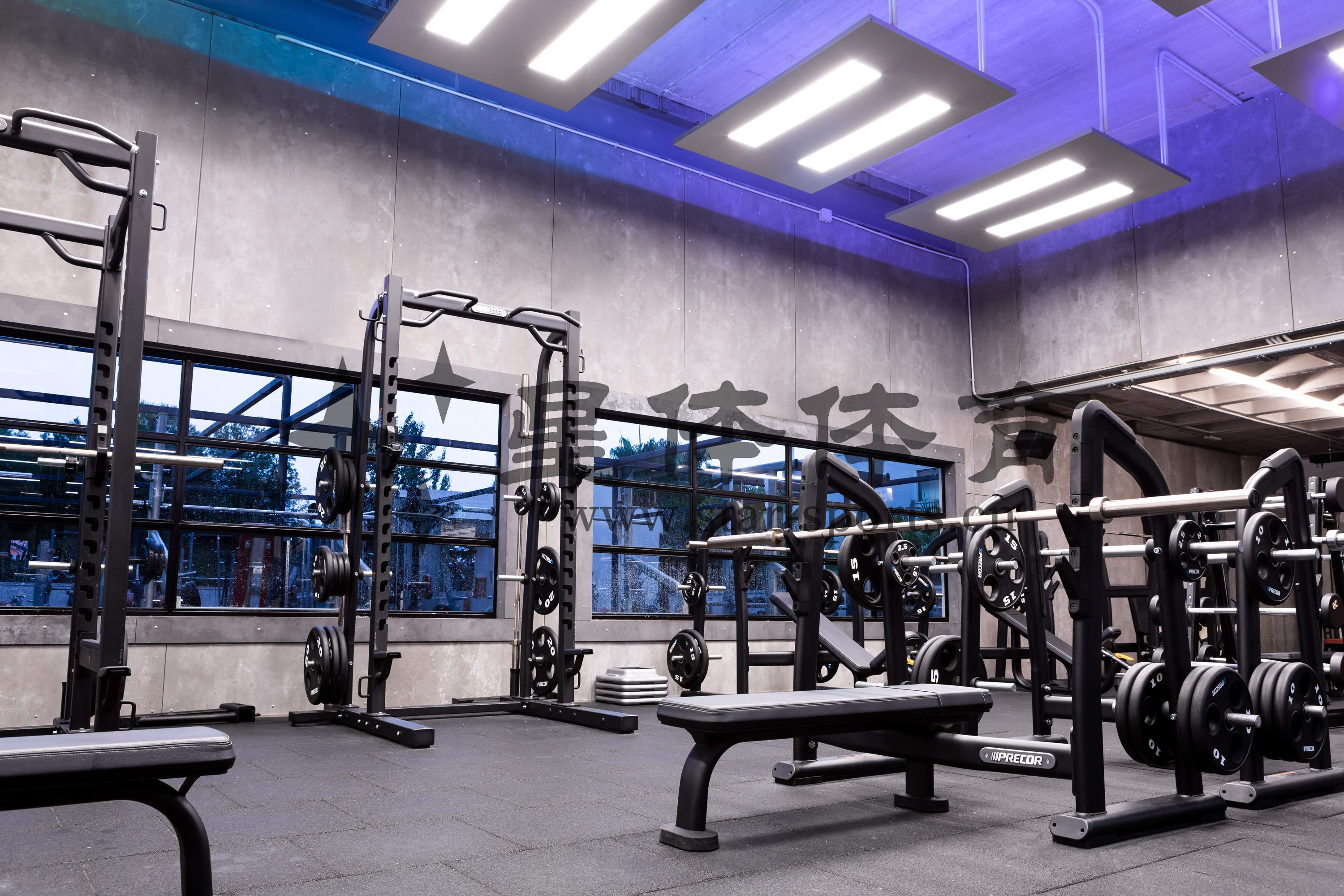 Precor必确史密斯健身器材的用法