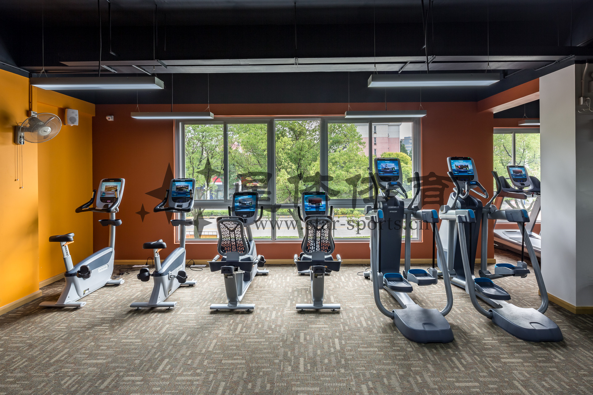 直立单车和靠背单车这两个健身器材有什么区别