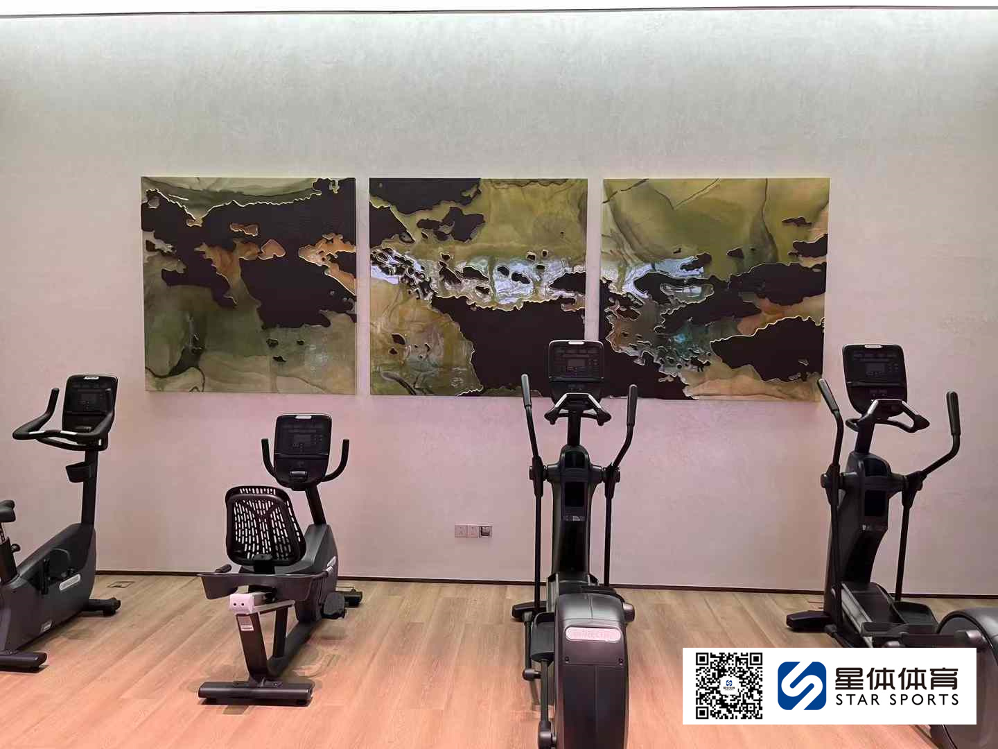 健身器材三头肌训练器的使用建议